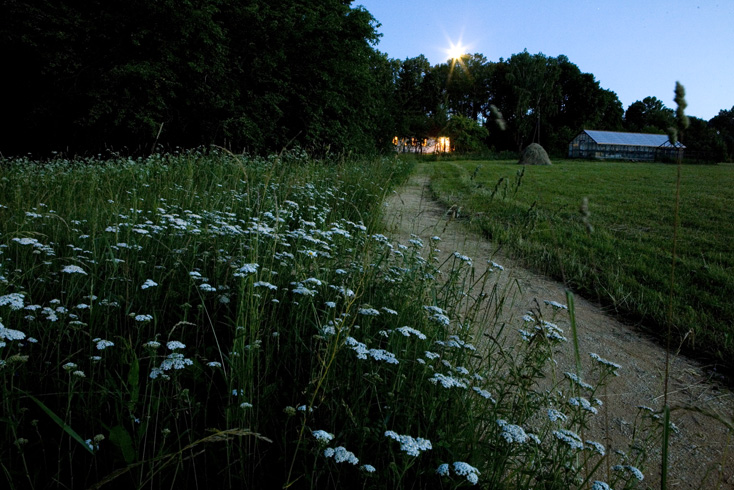 Moonrise over a meadow of cow parsley, Spasskoye-Lutovinovo