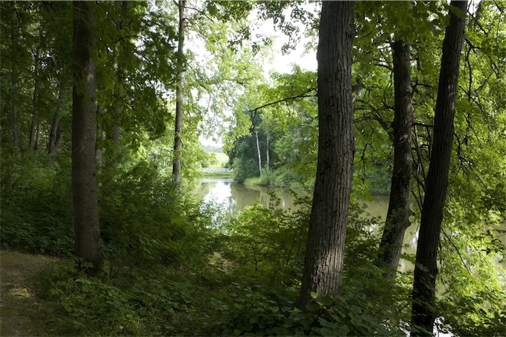 Trees around the lake at Spasskoye-Lutovinovo