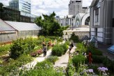 Russia's oldest botanic garden was founded by Peter the Great in 1706 to grow medicinal plants. Aptekarsky means apothecary in Russian. The garden has belonged to Moscow State University since 1805.