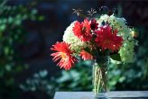 Arrangement of dahlia and Hydrangea 'Annabelle'