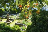 Orange trees surround the 'Flooded Garden' at Jardim do Paço, Castelo Branco
