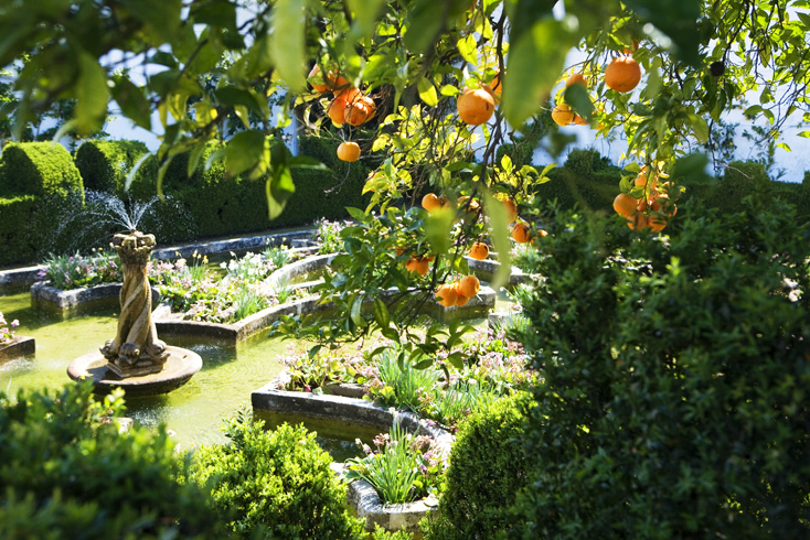 Orange trees surround the 'Flooded Garden' at Jardim do PaÃ§o, Castelo Branco