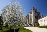Almond blossom in front of the Convent of Christ, originally a Templar stronghold built in the 12th century