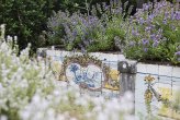 Part of the herb garden at the Palace of Queluz - a quiet and lesser known corner of the garden. The old azuleijos are faded and chipped, but the garden has real charm.