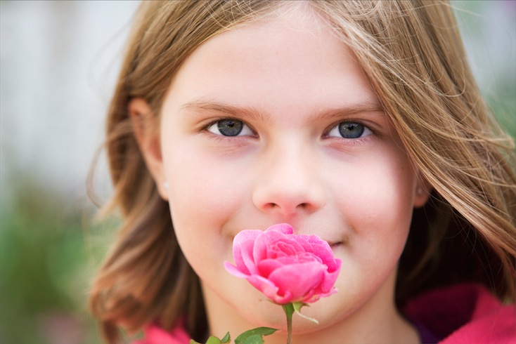 Young girl with Rosa 'Gertrude Jekyll' Young girl with Rosa 'Gertrude Jekyll'
